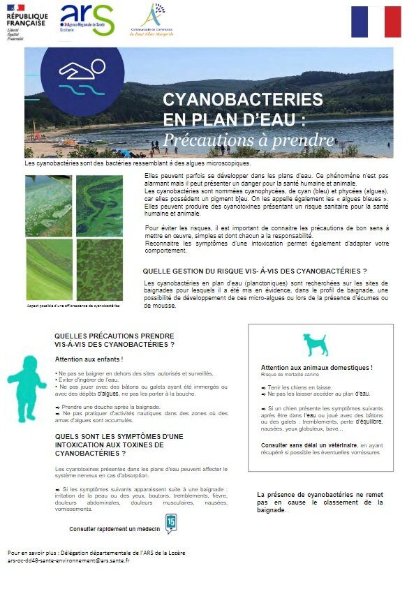 Présence de cyanobactéries avec cyanotoxine sur le Grand lac de Naussac