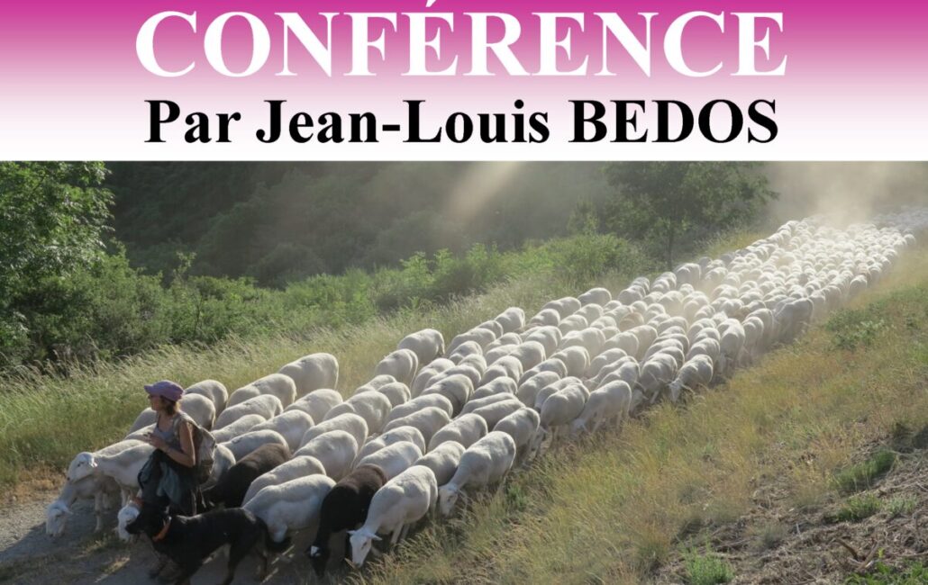 Image 0 : CONFÉRENCE - LA TRANSHUMANCE OVINE SUR LES HAUTES TERRES DU GÉVAUDAN