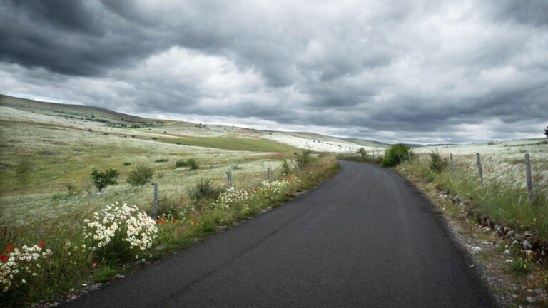 Image 0 : EXPOSITION PHOTOS - LOZÈRE, DANS L'INTIMITÉ DE LA VIE SAUVAGE