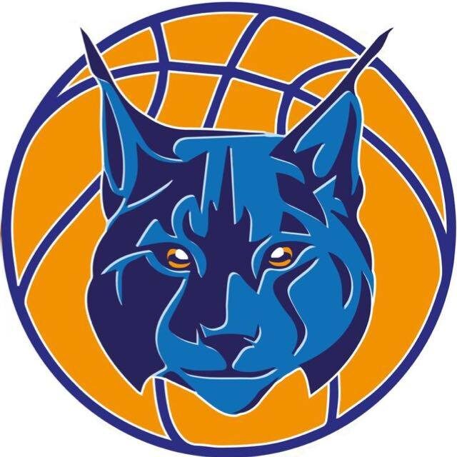 Image 0 : FÊTE DU BASKET
