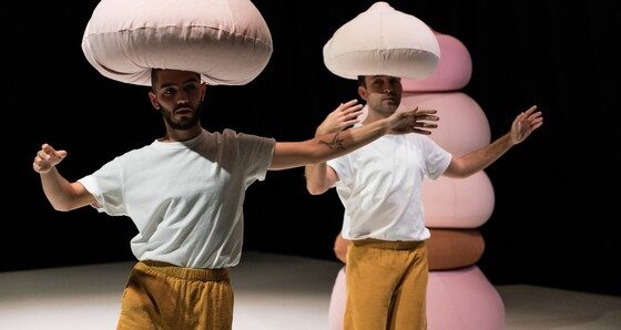 Image 0 : LE PETIT B