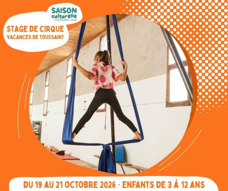 Image 0 : STAGE DE CIRQUE
