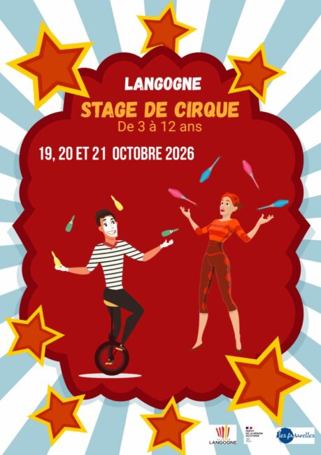 Image 2 : STAGE DE CIRQUE